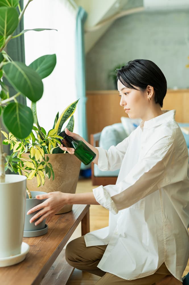 グリーンのある暮らし