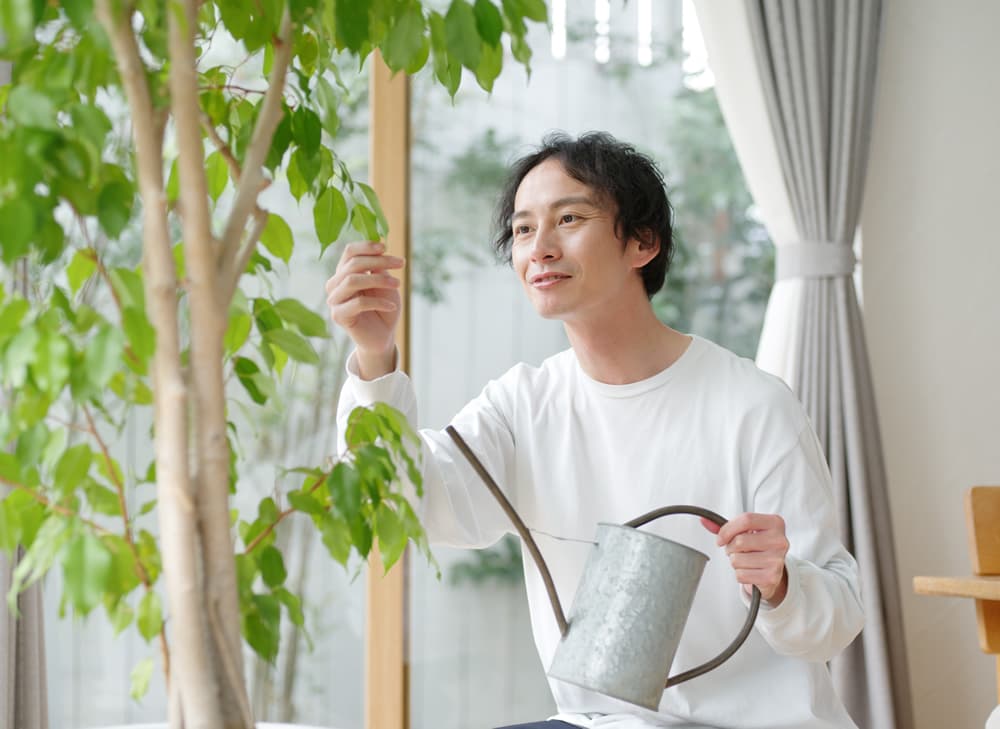 自然素材の家のイメージ