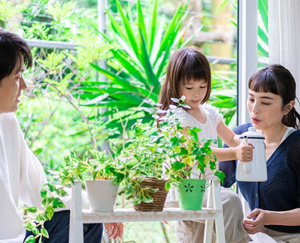 光と窓がつくる心地よさ