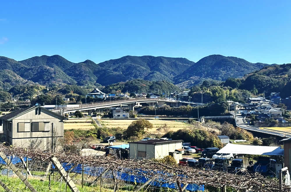 庭と公園のあいだ